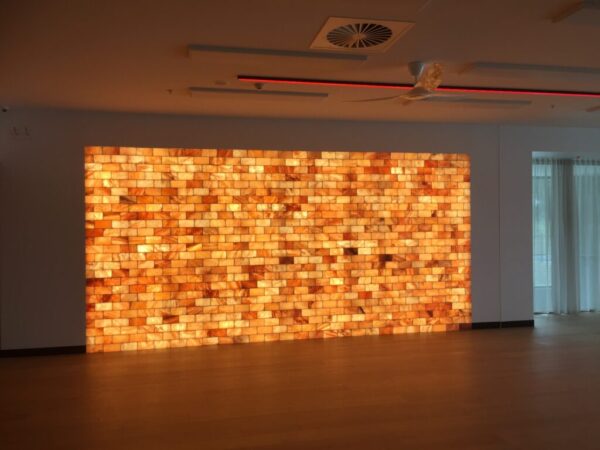 Total Fusion Salt Tile Wall Feature Morningside QLD